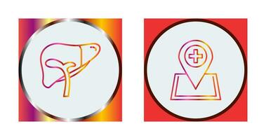 Liver and Location Icon vector