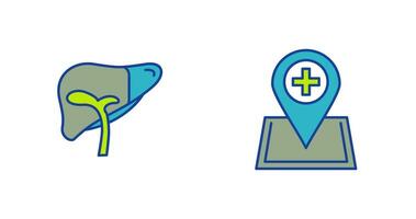 Liver and Location Icon vector