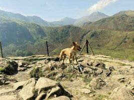 A view of the North Wales Countryside near Mount Snowden on a sunny day photo