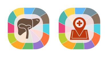 Liver and Location Icon vector