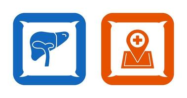 Liver and Location Icon vector