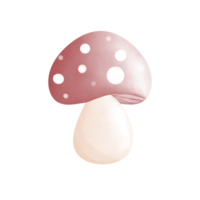 mushrooms is colorful png