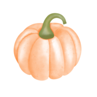 coloré mignonne citrouilles dans l'automne png