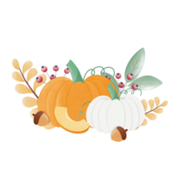 colorato carino zucche nel autunno png