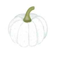 kleurrijk schattig pompoenen in herfst png