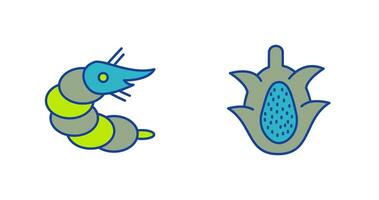 Shrimp and Dragon Fruit Icon vector