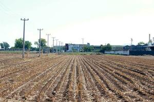 a field with a tractor in it photo