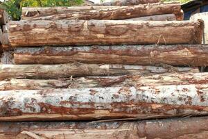 a pile of logs photo
