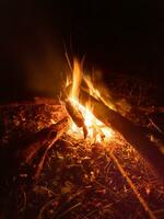 fireplace with burning firewood at night photo