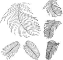 Palm leaves line art tropical plant leaf collection isolated on white background vector