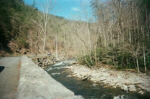 River and Road in Smoky Mountains National Park photo