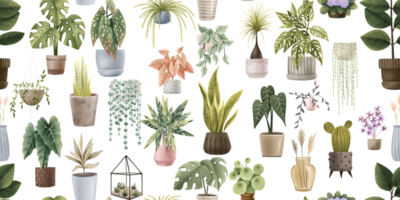 sin costura modelo con plantas de interior, plantas y ollas. hogar verdor, botánica ilustración, casa jardín. botánico fondo de pantalla, envase papel, textil dibujos animados diseño png