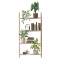 wooden  bookshelf with books and plants, houseplant in pots, candles and frame for photo. Hand painted illustration. Isolated design png