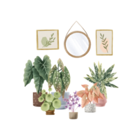 Interior with house plants, paintings and mirrors. Allocasia, begonia maculata, peperomia, syngonium, calathea, oxalis. Cute hand drawn illustration. Scandinavian style png