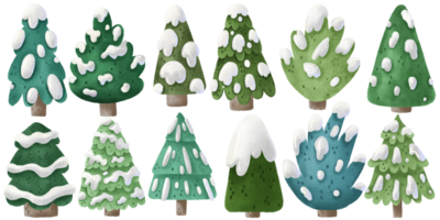 Collection Pine tree illustrations. Green christmas tree, eve with snow on branches, cute childish hand painted illustration. Isolated clipart, element. Holiday celebrating png