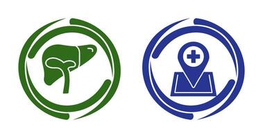 Liver and Location Icon vector