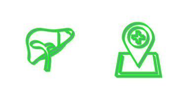 Liver and Location Icon vector