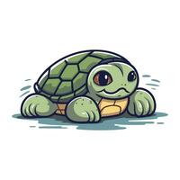 linda dibujos animados Tortuga aislado en un blanco antecedentes. vector ilustración.