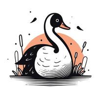 cisne en el lago. vector ilustración en garabatear estilo.