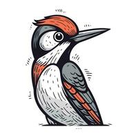 Woodpecker. hand drawn vector illustration isolated on white background.