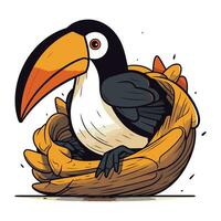 Cartoon toucan sitting in a bird nest. Vector illustration.