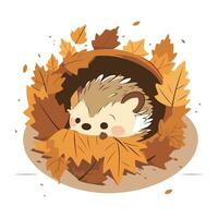 Cute hedgehog in a hollow made of autumn leaves. Vector illustration.