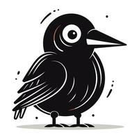 Crow vector illustration. Cute black bird isolated on white background.