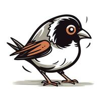 Illustration of a sparrow on a white background. Vector illustration.