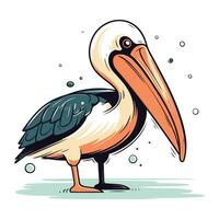 Pelican isolated on white background. Vector illustration in cartoon style.