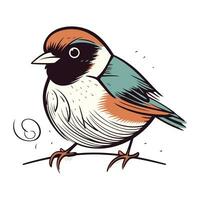 Bullfinch on a branch. Vector illustration of a bird.