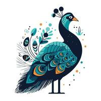 Peacock on a white background. Vector illustration for your design