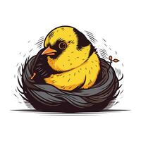 Chick in the nest. Vector illustration on a white background.