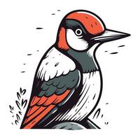 Woodpecker vector illustration. Hand drawn image of woodpecker.