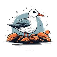 Seagull on the rocks. Vector illustration in retro style.