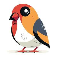 Bullfinch vector illustration. Isolated on a white background.