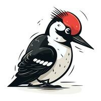 Dendrocopos major. great spotted woodpecker. vector