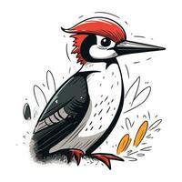 Dendrocopos major. Vector illustration of a woodpecker.