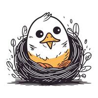 Cute little chicken in the nest. Hand drawn vector illustration.