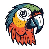Parrot head vector illustration isolated on white background. Parrot head mascot.