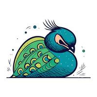 Peacock icon. Vector illustration of a cartoon peacock.