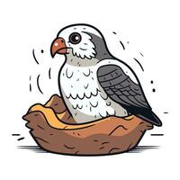 Illustration of a bird sitting in a nest on a white background vector