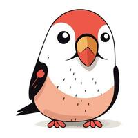 Illustration of a cute cartoon bullfinch on a white background vector