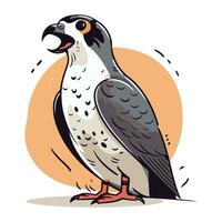 Goshawk. Vector illustration of a bird in cartoon style.
