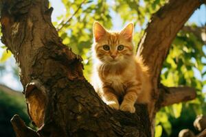 Agile cat on tree branch. Generate Ai photo