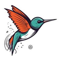 Hummingbird vector illustration. Isolated on a white background.