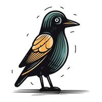 Vector illustration of a crow. Isolated on a white background.