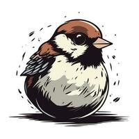 Sparrow. Hand drawn vector illustration of a sparrow.