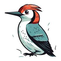 Red bellied Woodpecker  Dendrocopos martius . Vector illustration.