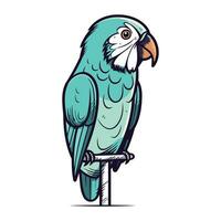 Blue parrot isolated on white background. Hand drawn vector illustration.
