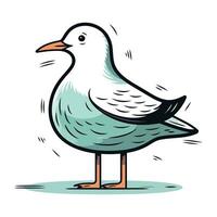 Vector illustration of a seagull isolated on a white background.